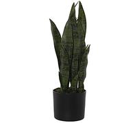 Set de 2 Plantas Artificiales Dracena (Sansevieria) de Polietileno y Tela en Verde 50cm