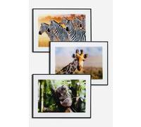 Set de 3 Cuadros de Cristal─ 40x30 cm