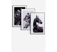 Set de 3 Cuadros de Cristal─ 60x40 cm