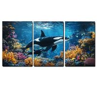 Set de 3 Marco de Madera Cuadros Decoracion Salon Modernos Delfín Cuadros Decorativos, Animal Impresiones Sobre Lienzo posters Decorativos, Dormitorio Hogar Cocina Decoracion Pared 45x70cm,-f827b