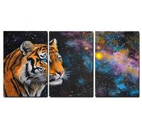 Set de 3 Marco de Madera Cuadros Decoracion Salon Modernos Tigre Cuadros Decorativos, Animal Impresiones Sobre Lienzo posters Decorativos, Salon Dormitorio Hogar Cocina Decoracion Pared 40x60cm,-f602b