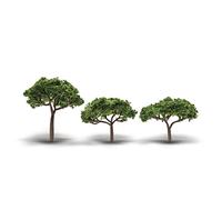 Set de 3 Pinos Piñoneros Mediterraneos - Woodland Scenics