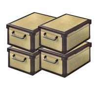 Set de 4 Cajas de Armario con Tapa - Organizadores de Cambio de Temporada en Cartón 35×25×17,5 cm Tapirus - Made in Italy, Resistentes, Fáciles de Montar, con Asas