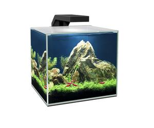 Set de Acuario Cube Aqua LED 15L LED y Filtración Alto Rendimiento, Tapa y Consumibles. Color Negro