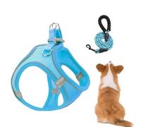 Set De Arnés con Correa para Gatos Chaleco Ajustable, Reflectante Y | Arnés De Chaleco Reflectante Sin Ahogo Para Mascotas Para Cachorros Senderismo Entrenamiento Aire Traje de perro - Blue XS