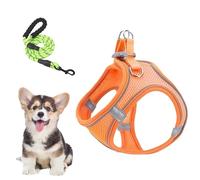 Set De Arnés Y Correa Perro Pequeño Ajustable, Transpirable, Reflectante, | Arnés De Chaleco Reflectante Sin Ahogo Para Mascotas Para Senderismo, Paseo Nocturno, Viajes En Coche, Visitas