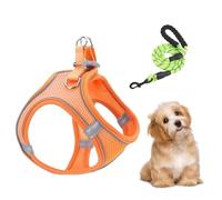 Set De Arnés Y Correas para Perros Chaleco Reflectante Antihuida | Arnés De Chaleco Reflectante Sin Ahogo Para Mascotas Para Cachorros Senderismo Entrenamiento Aire Traje de perros - Orange XS