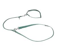 Set de collar y correa para perro grande