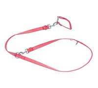 Set de collar y correa para perro pequeño