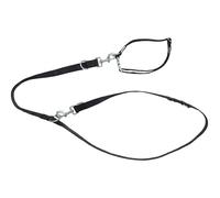 Set de collar y correa para perro pequeño