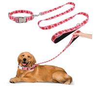 Set de Collar y Correa para Perros - Correa de 1,5 m con Asa Acolchada + Collar Ajustable de Nailon para Perros Pequeños y Medianos, Paseos y Entrenamiento