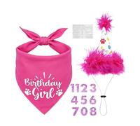 Set De Decoración De Cumpleaños para Perros: Gorro con Números Ajustables, Bandana Y Pancarta Fotográfica | Suministros Reutilizables para De Mascotas, para Perros Pequeños, Medianos Y Grandes