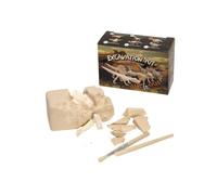 Set De Fósiles Para Excavar - Pequeño