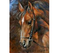 Set de pintura diamante, cuadro con motivo cabeza de caballo y accesorios, tamaño aprox. 25 x 35 cm, set de manualidades para pintar con piedras brillantes para niños a partir de 5 años