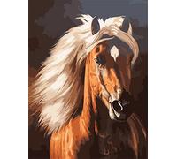 Set de pintura diamante, cuadro con motivo de caballo y accesorios, tamaño aprox. 25 x 35 cm, set de manualidades para pintar con piedras brillantes para niños a partir de 5 años