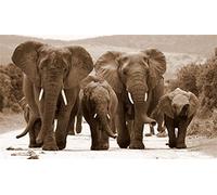 Set de pintura diamante, cuadro con motivo de familia de elefantes y accesorios, tamaño aprox. 44 x 33 cm, set de manualidades para pintar con piedras brillantes para niños a partir de 5 años