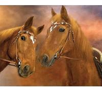 Set de Pintura Diamante, cuadro con motivo Dos Caballos y accesorios, tamaño aprox. 35 x 25 cm, set de manualidades para pintar con piedras brillantes para niños a partir de 5 años