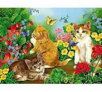 Set de pintura Diamante, cuadro con motivo gatito en prado de flores y accesorios, tamaño aprox. 35 x 25 cm, set de manualidades para pintar con piedras brillantes para niños a partir de 5 años