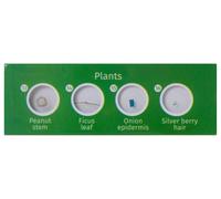 Set de preparaciones levenhuk labzz p12: plantas