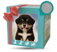 Set de Regalo de Lujo para Mascotas con empaque y diseño interactivos, Completo con Funciones de ladrido y Movimiento: la elección Ocasiones de celebración F