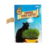 Set de Semillas de Hierba para Gatos para Cultivar Césped de Gato en Casa