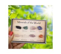 Set of 8 Mini Natural Ore Specimens Mixed Stone Style Samples Lucky Rock Collection Gift for Kids & Geology Enthusiasts New