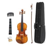 Set Para Principiante Violín Curso Para Principiantes De Violín 1/4 Instrumento De Aprendizaje Panel Subbrillante Violín Con Piezas(Set)