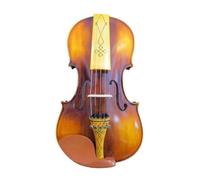 Set Para Principiante Violín Dibujo En La Parte Posterior Del Violín Maestro 5 Cuerdas 4/4 Tamaño Violín Sonido Resistente