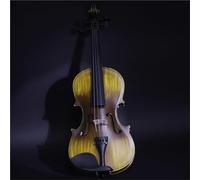 Set Para Principiante Violín Violín De Acoplamiento 4/4 Instrumento De Violín De Rendimiento De Prueba De Ejercicio De Violín Sólido
