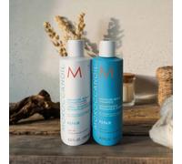 Set Reparador e Hidratante Moroccanoil