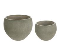 Set2 Jarrón Cepillo Esfera Salvia