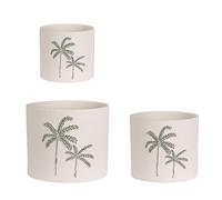 Set3 P.Jarrón Joele A Palma Blanco