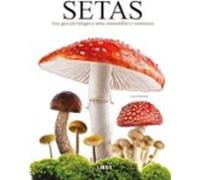 Setas