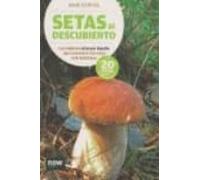 Setas Al Descubierto