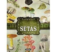 Setas (Atlas Ilustrado)