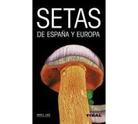Setas de España y Europa