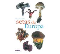 Setas De Europa(Naturaleza-Flora)