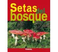 Setas Del Bosque