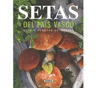Setas del País Vasco. Guía y recetas de cocina (El rincon del paladar)
