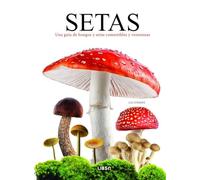 Setas: Una Guía de Hongos y Setas Comestibles y Venenosas: 1 (Micología)