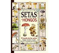 Setas Y Hongos