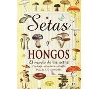 Setas Y Hongos