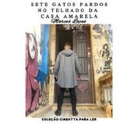 Sete Gatos Pardos No Telhado Da Casa Amarela (ebook)