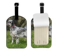Setter Inglés Césped Mascotas Perros Setter Inglés,Etiquetas de equipaje de cuero sintético con nombre, etiquetas de viaje duraderas, 2 unidades