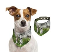 Setter Inglés Césped Mascotas Perros Setter Inglés,Pañuelos de algodón para Perros, Bufandas Ajustables para Mascotas,L