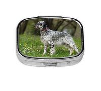 Setter Inglés Césped Mascotas Perros Setter Inglés, Pastillero cuadrado para bolsillo o monedero, pequeño contenedor de pastillas, organizador de pastillas de viaje