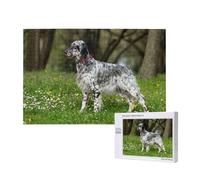 Setter Inglés Césped Mascotas Perros Setter Inglés,Rompecabezas de Madera de 1000 Piezas para Adultos y Adolescentes.