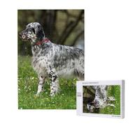 Setter Inglés Césped Mascotas Perros Setter Inglés,Rompecabezas de Madera de 1000 Piezas para Adultos y Adolescentes.