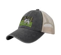 Setter Inglés Césped Mascotas Perros Setter Inglés, Sombreros clásicos para papá, Gorras de Camionero Ajustables, Gorra de béisbol de Malla de Vaquero