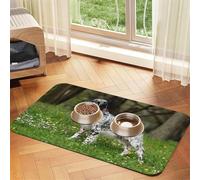 Setter Inglés Césped Mascotas Perros Setter Inglés,Tapete para Comida de Mascotas, manteles Individuales de Cuero sintético para Gatos y Perros,40x60cm